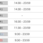 ヒメ日記 2025/07/26 20:21 投稿 ルナ 石庭