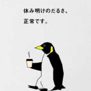 ヒメ日記 2025/08/04 15:00 投稿 ルナ 石庭