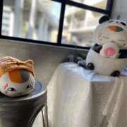 ヒメ日記 2025/08/05 06:50 投稿 ルナ 石庭