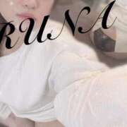 ヒメ日記 2025/08/06 07:40 投稿 ルナ 石庭