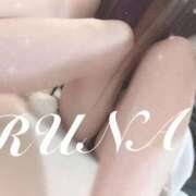 ヒメ日記 2025/09/19 11:50 投稿 ルナ 石庭