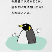 ヒメ日記 2025/09/22 15:00 投稿 ルナ 石庭