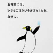 ヒメ日記 2025/09/26 08:40 投稿 ルナ 石庭