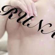 ヒメ日記 2025/10/04 17:21 投稿 ルナ 石庭