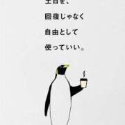 ヒメ日記 2025/10/04 21:41 投稿 ルナ 石庭