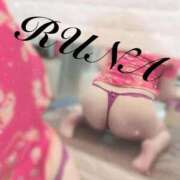 ヒメ日記 2025/10/12 17:00 投稿 ルナ 石庭