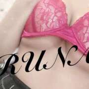 ヒメ日記 2025/10/15 17:02 投稿 ルナ 石庭