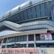 ヒメ日記 2025/10/16 11:30 投稿 ルナ 石庭