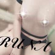 ヒメ日記 2025/10/16 13:20 投稿 ルナ 石庭