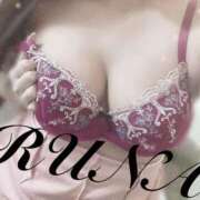 ヒメ日記 2025/10/27 17:00 投稿 ルナ 石庭