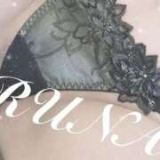 ヒメ日記 2025/10/31 18:51 投稿 ルナ 石庭