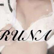 ヒメ日記 2025/11/09 10:00 投稿 ルナ 石庭