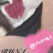 ヒメ日記 2025/11/12 20:50 投稿 ルナ 石庭