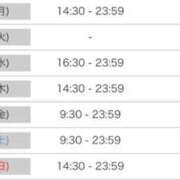 ヒメ日記 2025/11/16 17:50 投稿 ルナ 石庭