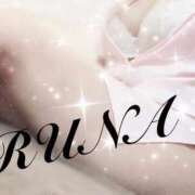 ヒメ日記 2025/11/17 22:30 投稿 ルナ 石庭