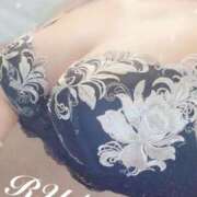 ヒメ日記 2025/11/19 17:07 投稿 ルナ 石庭