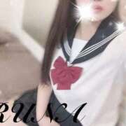 ヒメ日記 2025/11/20 14:59 投稿 ルナ 石庭