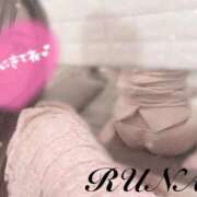 ヒメ日記 2025/11/22 17:51 投稿 ルナ 石庭