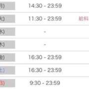 ヒメ日記 2025/11/22 19:50 投稿 ルナ 石庭