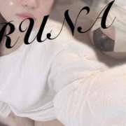 ヒメ日記 2025/11/24 21:50 投稿 ルナ 石庭