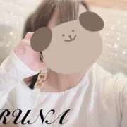 ヒメ日記 2025/11/30 10:00 投稿 ルナ 石庭