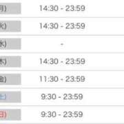 ヒメ日記 2025/11/30 19:50 投稿 ルナ 石庭