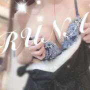 ヒメ日記 2025/12/14 15:22 投稿 ルナ 石庭