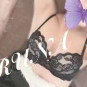 ヒメ日記 2025/12/17 19:50 投稿 ルナ 石庭