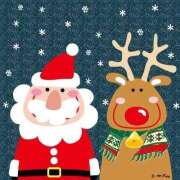 ヒメ日記 2025/12/17 20:50 投稿 ルナ 石庭