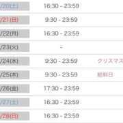 ヒメ日記 2025/12/19 19:20 投稿 ルナ 石庭
