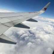 ヒメ日記 2025/12/19 20:50 投稿 ルナ 石庭