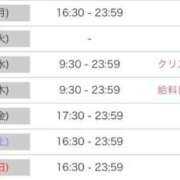 ヒメ日記 2025/12/21 22:50 投稿 ルナ 石庭