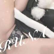 ヒメ日記 2025/12/24 10:00 投稿 ルナ 石庭