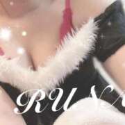 ヒメ日記 2025/12/24 19:20 投稿 ルナ 石庭