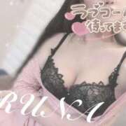 ヒメ日記 2025/12/27 17:01 投稿 ルナ 石庭