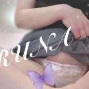 ヒメ日記 2025/12/28 21:50 投稿 ルナ 石庭