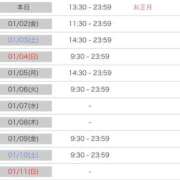 ヒメ日記 2026/01/01 18:34 投稿 ルナ 石庭