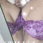 ヒメ日記 2026/01/09 17:50 投稿 ルナ 石庭