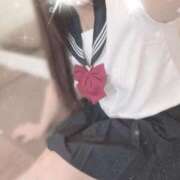 ヒメ日記 2026/02/11 16:50 投稿 ルナ 石庭