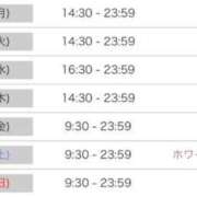 ヒメ日記 2026/03/08 17:21 投稿 ルナ 石庭