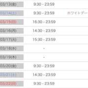ヒメ日記 2026/03/12 17:50 投稿 ルナ 石庭