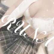 ヒメ日記 2026/04/11 14:50 投稿 ルナ 石庭