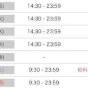 ヒメ日記 2026/04/19 16:57 投稿 ルナ 石庭