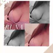 ヒメ日記 2026/04/20 14:54 投稿 ルナ 石庭