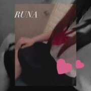 ヒメ日記 2026/04/20 21:20 投稿 ルナ 石庭