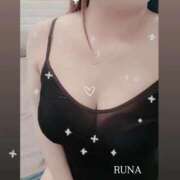 ヒメ日記 2026/04/21 15:07 投稿 ルナ 石庭