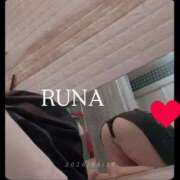 ヒメ日記 2026/04/22 16:50 投稿 ルナ 石庭