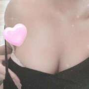 ヒメ日記 2026/04/23 22:23 投稿 ルナ 石庭