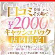 ヒメ日記 2026/04/25 18:22 投稿 ルナ 石庭