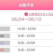 ヒメ日記 2026/06/04 22:25 投稿 ルナ 石庭